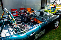 Healy 03  1  C  16b  ©  Richard Hyde  2024