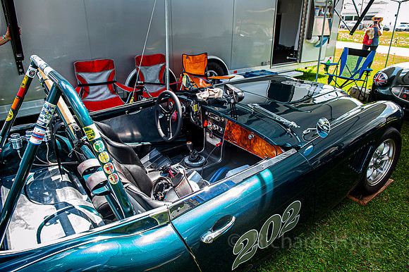Healy 03  1  C  16b  ©  Richard Hyde  2024