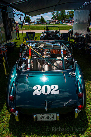 Healy 01  1  C  16b  ©  Richard Hyde  2024