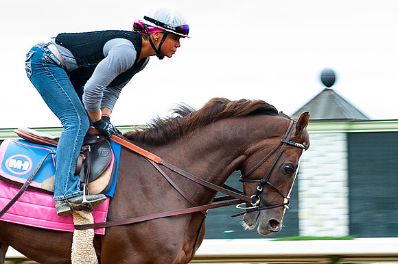 Equestrian, Thoroughbred, Lexington KY, Keenland, Morning workout, Horses, Horse and rider, Horse racing