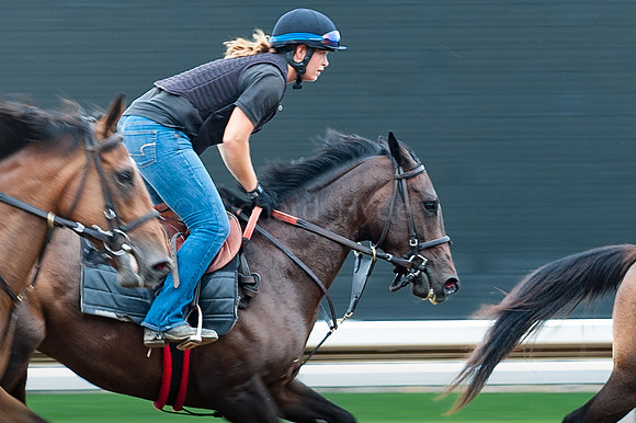 Equestrian, Horse and rider, Horse racing, Horses, Keenland, Lexington KY, Morning workout, Thoroughbred,