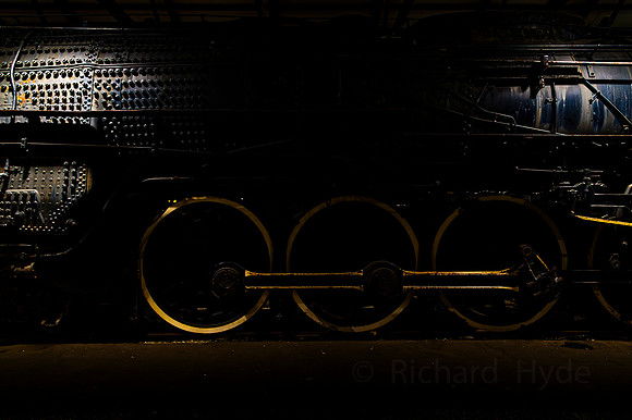 IRM Meg  01   1  C  16b  ©  Richard Hyde  2024