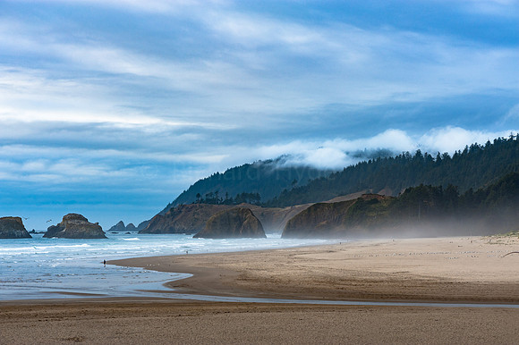 Cannon Beach Oregon, John Yeon State Natural Site, Pacific coast, beach, clouds, fog, Pacific Northwest