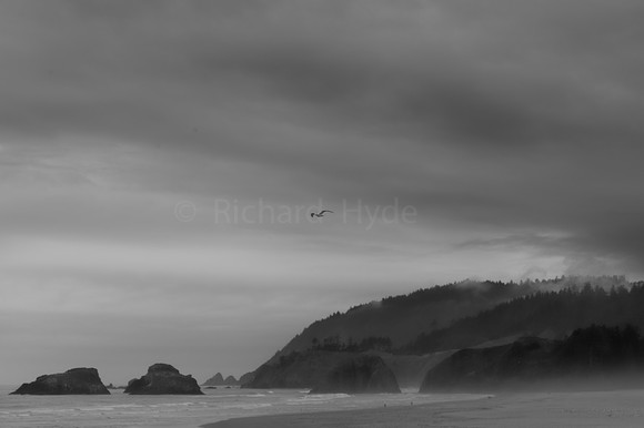 Cannon Beach Oregon, John Yeon State Natural Site, Pacific coast, beach, clouds, fog, Pacific Northwest