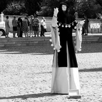 Black and Blanc