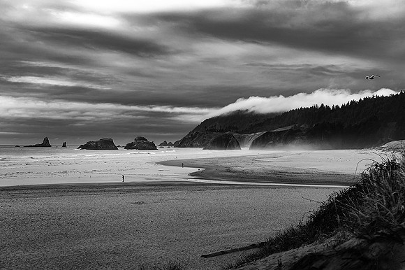 Cannon Beach  © 2023 Richard Hyde