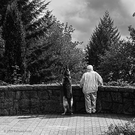 Human © 2023 Richard Hyde