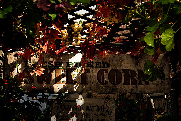 Lake Forest 9-10-23  1  C   8b  ©  Richard Hyde  2023
