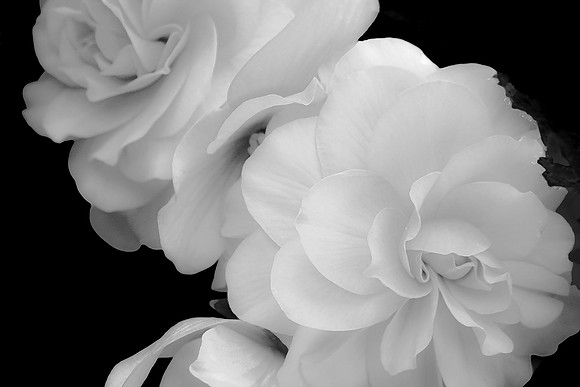 White Waves  !  BW  8b  ©  Richard Hyde  2023
