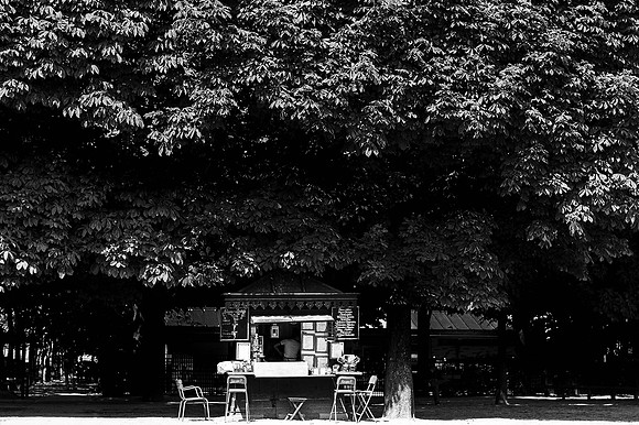 Luxembourge Gardens  1  BW   8b  ©  Richard Hyde  2023