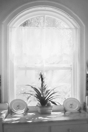 High Key West  2  BW  ©  Richard Hyde  2-23