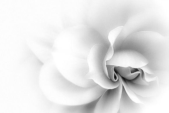 High Key  4  BW  ©  Richard Hyde  2023