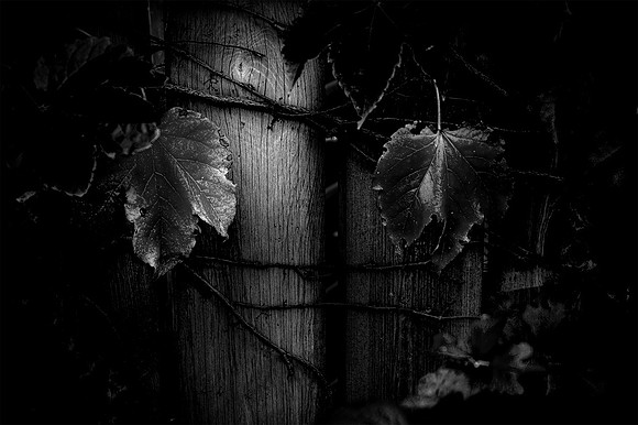 Saugatuck_01_BW_ ©R__Richard _Hyde_2023