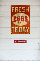 EGGS  1   C   ©  Richard Hyde  2023