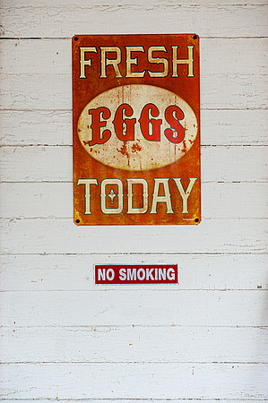 EGGS  1   C   ©  Richard Hyde  2023