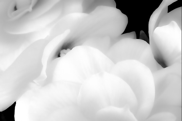 White Waves  !  BW  8b  ©  Richard Hyde  2023