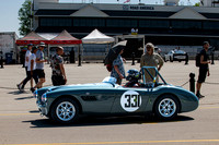 Healy 10  1  C  16b  ©  Richard Hyde  2024