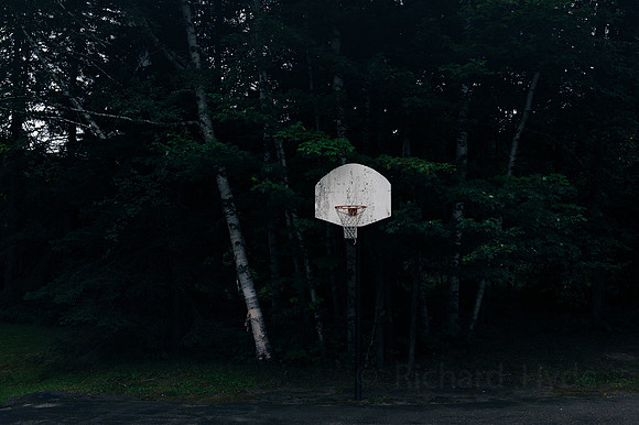 H O R S E  1  C  8b  ©  Richard Hyde  2023