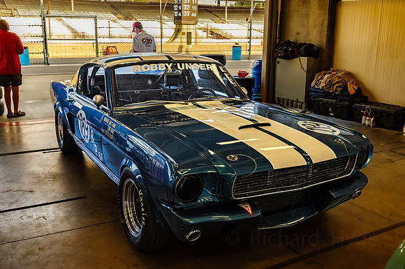 Mustang 189  1  C  16b  ©  Richard Hyde  2024