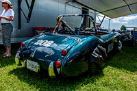 Healy 02A  1  C  16b  ©  Richard Hyde  2024