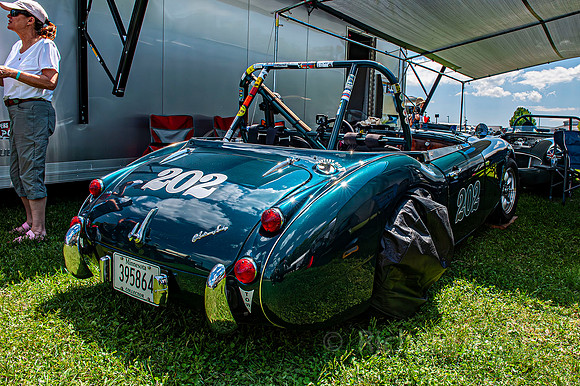 Healy 02A  1  C  16b  ©  Richard Hyde  2024