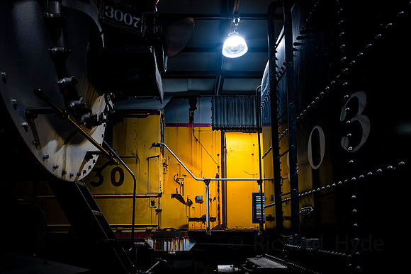 IRM Yellowloco  01 1  C  16b  ©  Richard Hyde  2024