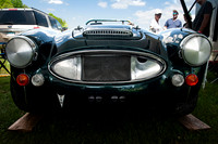 Healy 05  1  C  16b  ©  Richard Hyde  2024