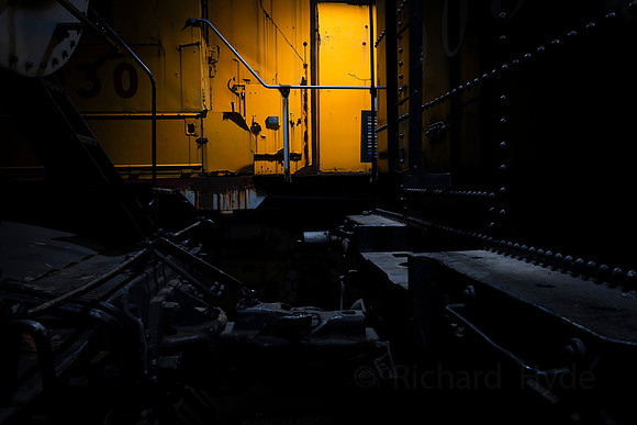 IRM  Yellowloco  02  1  C  16b  ©  Richard Hyde  2024