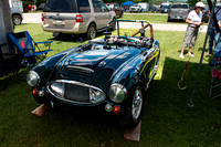Healy 06  1  C  16b  ©  Richard Hyde  2024