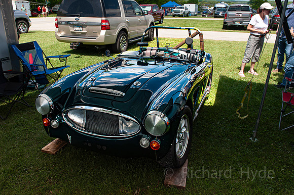 Healy 06  1  C  16b  ©  Richard Hyde  2024