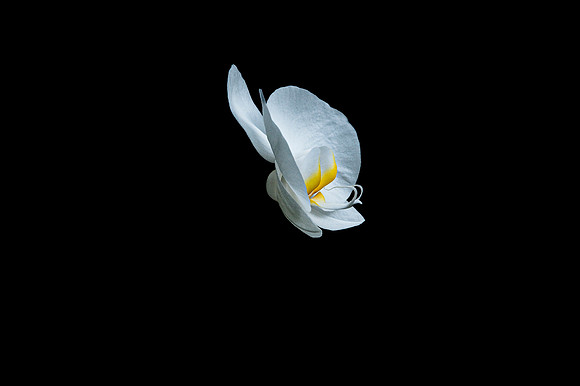 White Waves 03  1  C  16b  ©  Richard Hyde  2024