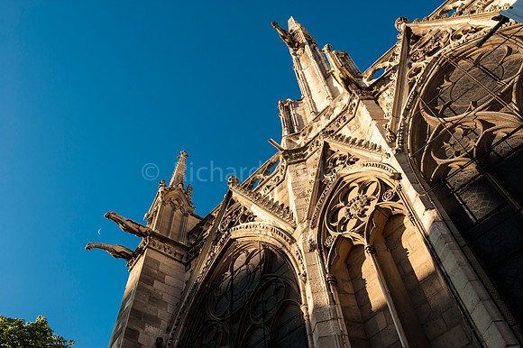 Notre Dame, Gargoyle, Moon, Paris,Travel, Ile de la Cite, France